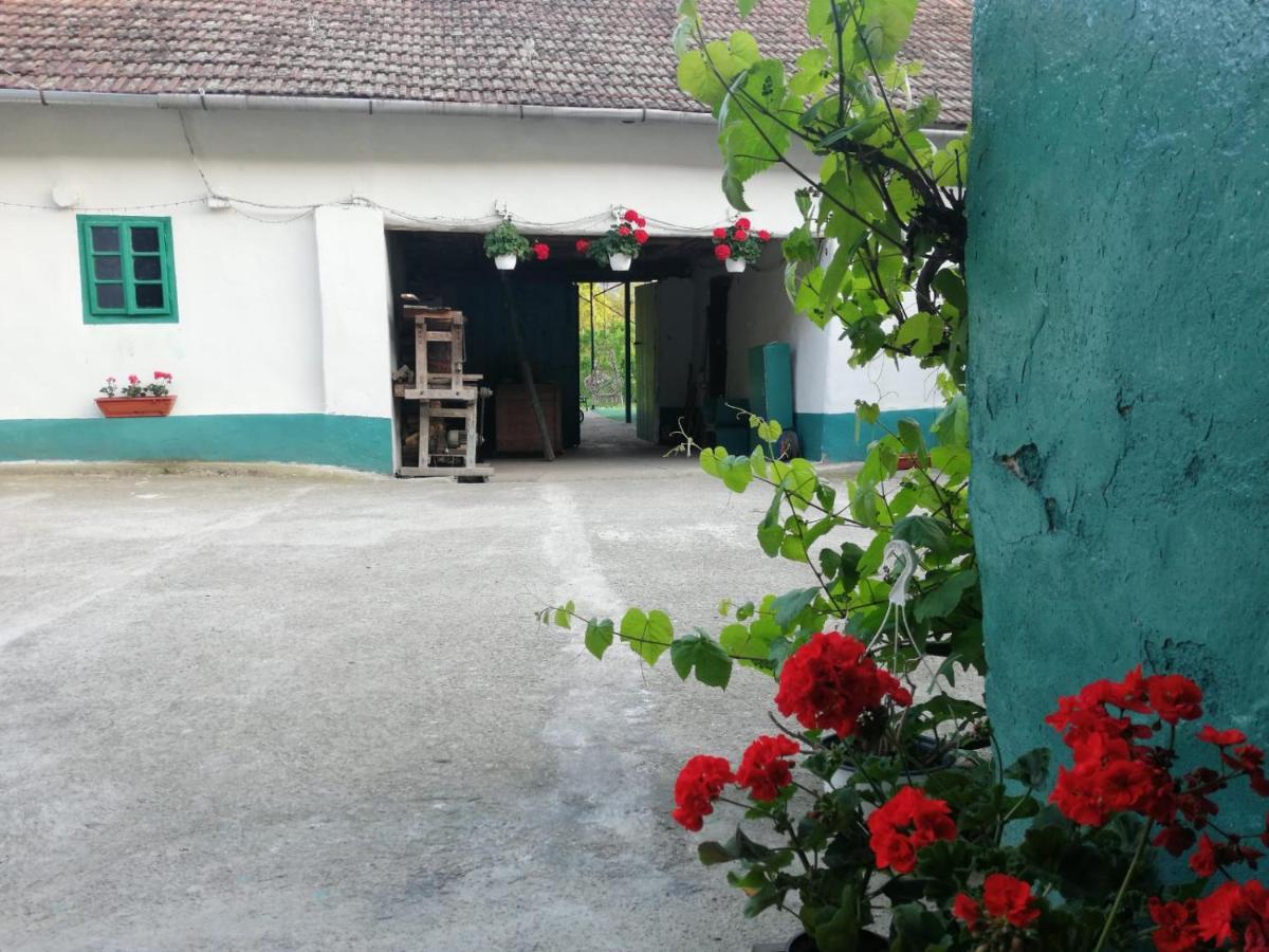 Hello Nature House - Cheile Nerei, Carasului, Garlistei Giurgiova Exterior foto